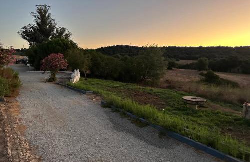 Herdade do Vidigal - Photo 57