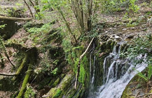Les Hôtes du Chataignier - Foto 74