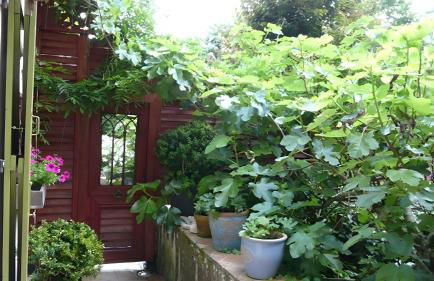 Gîte de Carguillet - Photo 13