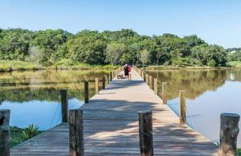 Casa ninho verde II - Foto 13