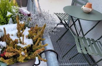 Ludwig XIV - Foto 22