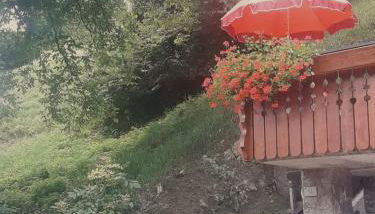 CASETTA INDIPENDENTE NEL VERDE PER 2/3 PERSONE - Foto 4