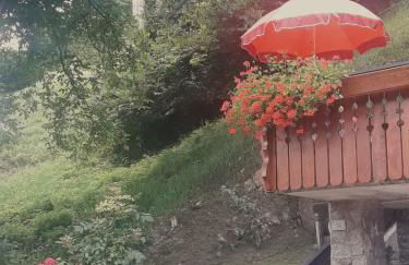 CASETTA INDIPENDENTE NEL VERDE PER 2/3 PERSONE - Photo 4