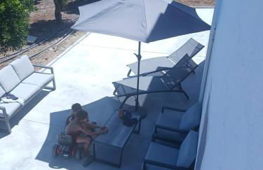 Casa dos pássaros - Foto 38