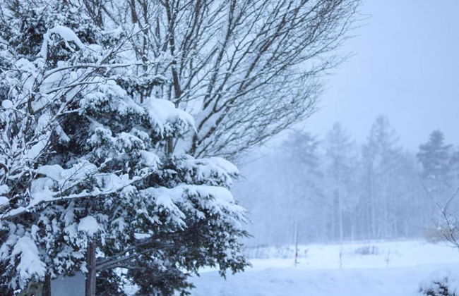 COTTAGE Yamajyu - Foto 67