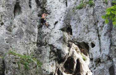 Pokoje przy Zamku - Foto 25