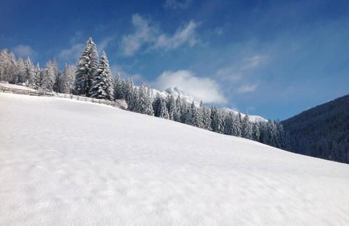 Biohof Hamann - Foto 7