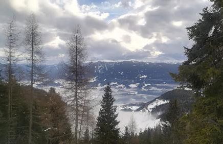 Al cantuccio di Chiara - Photo 15