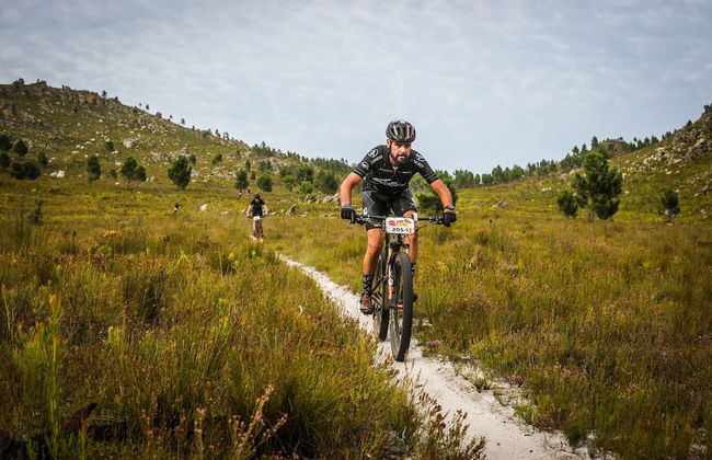 Endless Vineyards at Wildekrans Wine Estate - Photo 21