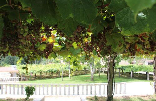 A de Jose Luis - Foto 6