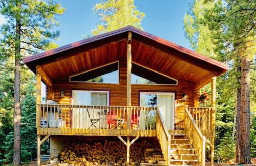 Adventure Awaits 3King Bed,2Bath Log Cabin in heart of Duck Creek Village! - Foto 1