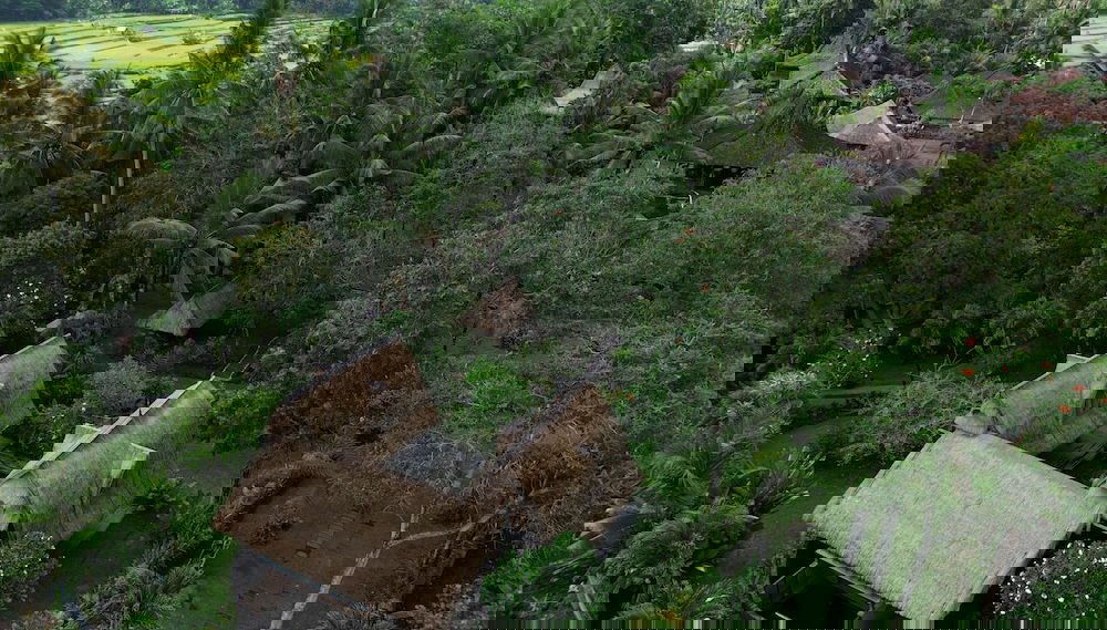 Permata Ayung Private Estate - Photo 1, Image principale