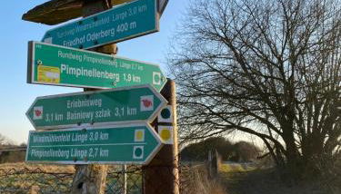 Kleine Auszeit - Foto 3