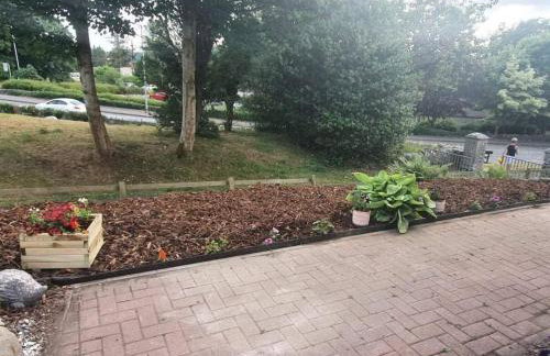 Modernised 1720s Cottage, Newton Stewart, Scotland - Photo 47