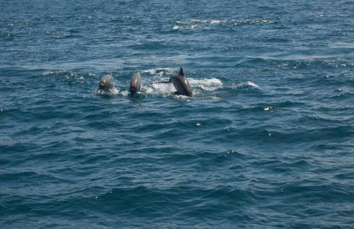 Casa Beijaflor - Photo 24