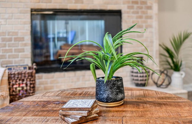 Tiki Nest - Photo 10