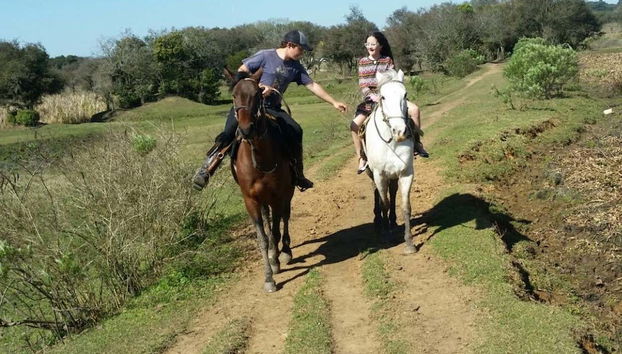 Balade à cheval dans Curitiba
