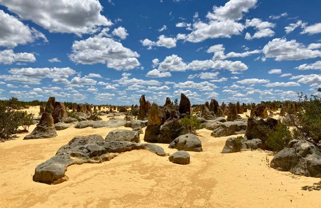 Escursione al Deserto dei Pinnacoli - Foto 2