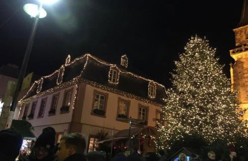 Holiday Home Schöndorf by Interhome - Foto 35