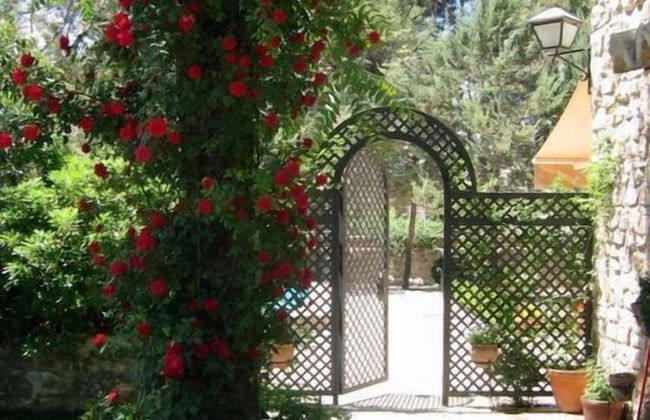 La Casería de Tito - Foto 35