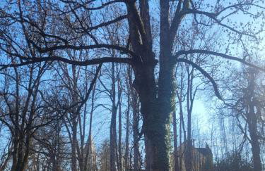 SchlossNest Isny - Denkmal Kultur Park Stadt - Foto 47