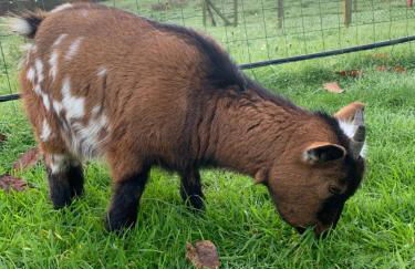 Apartamentos La Quintana de Romillo - Photo 19