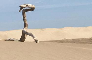 Sur la Terrasse - Foto 36