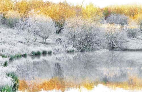 Red Rose Cottage - Foto 15