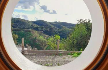 Natur Amêndoa - Foto 52