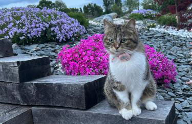 Gite 1er Cru - La Loubertine - Foto 5