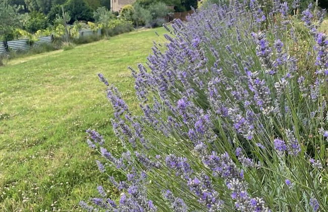 La Nocciolaia - Photo 33