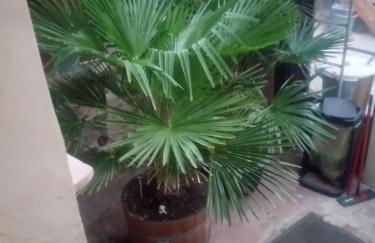 Ferienwohnung Zentral - Foto 27