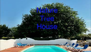 Nature Tree House Casa sobre los árboles - Foto 3