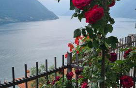 Colonno Panoramica Lago Di Como - Foto 15