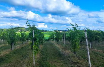 Tweet Apartments with Sauna and optional Breakfast Close To Terme Sveti Martin - Foto 39