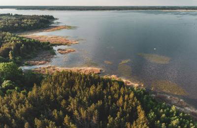 Leśna 21 Dom Północ przy PUSZCZA BIAŁOWIESKA - Foto 64