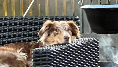 Bergs Bahnhof - Foto 3