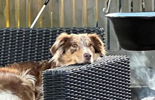 Bergs Bahnhof - Foto 3