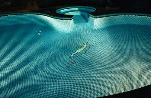 Placer de Meca - Foto 18