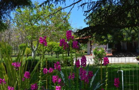 Villa Irene Pisticci-Matera - Photo 16
