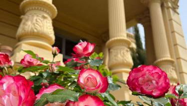 Appartement exceptionnel belle époque avec grande terrasse plein sud - Foto 5