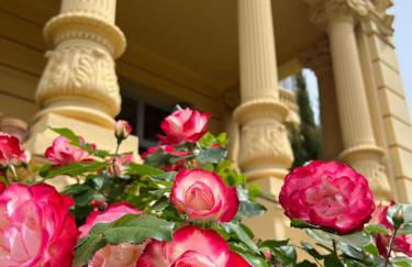 Appartement exceptionnel belle époque avec grande terrasse plein sud - Foto 5