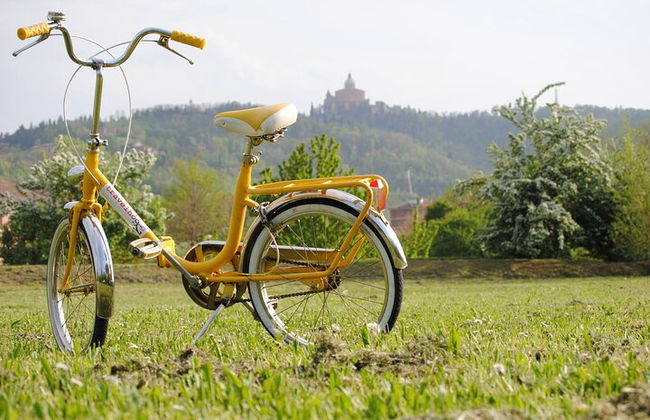 Bologna Panoramic Bike Tour - Photo 1