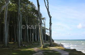 Ostseeblick - Foto 52