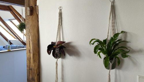 Ferienwohnung - Alte Mühle Extertal - Foto 4