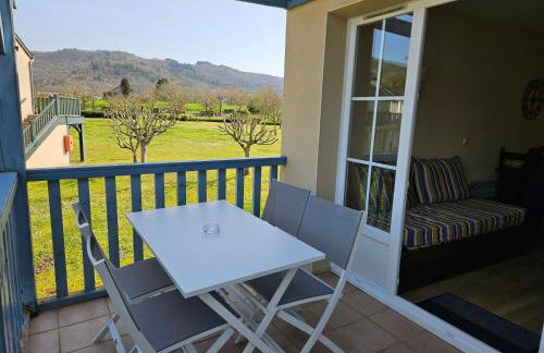 Appartement AVEC WIFI CHEZ FLO T2 Résidence BELLES RIVES Argentat - Foto 28