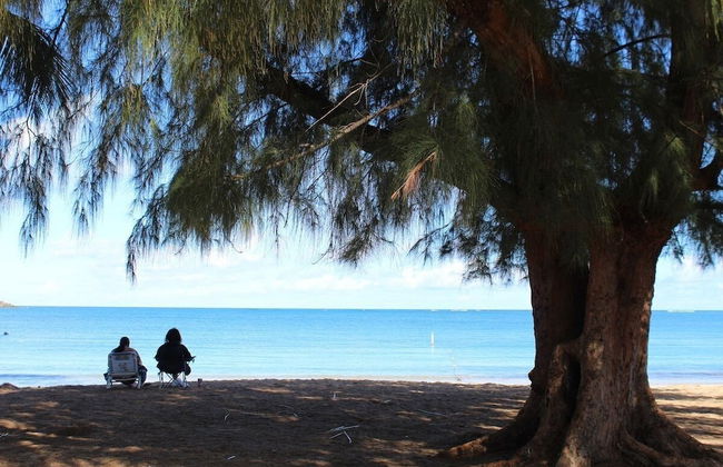 Beachfront Studios - Photo 55