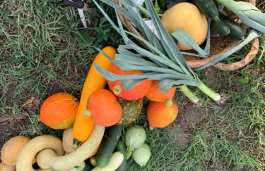 Casa villetta "La Colomba" Nizza Monferrato - Foto 47