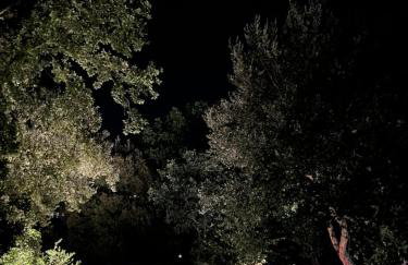 Il cielo in una stanza - Foto 30
