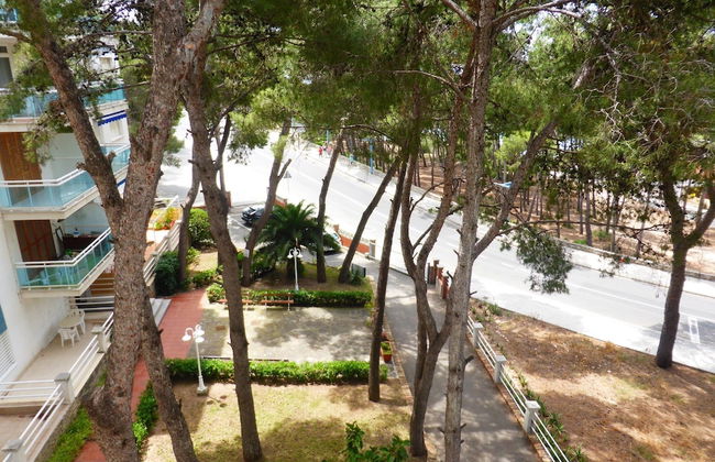 Apartamento M&C del Bosc - Foto 38